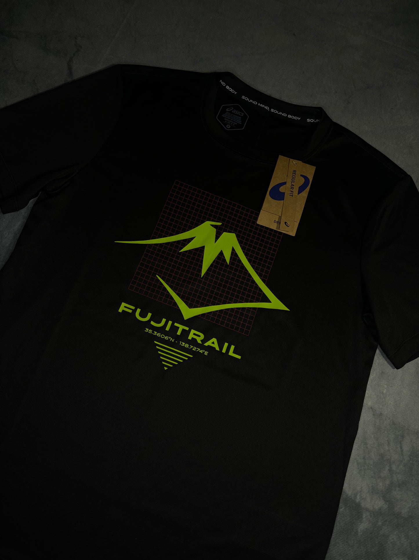 Asics FujiTrail Logo Top (S)