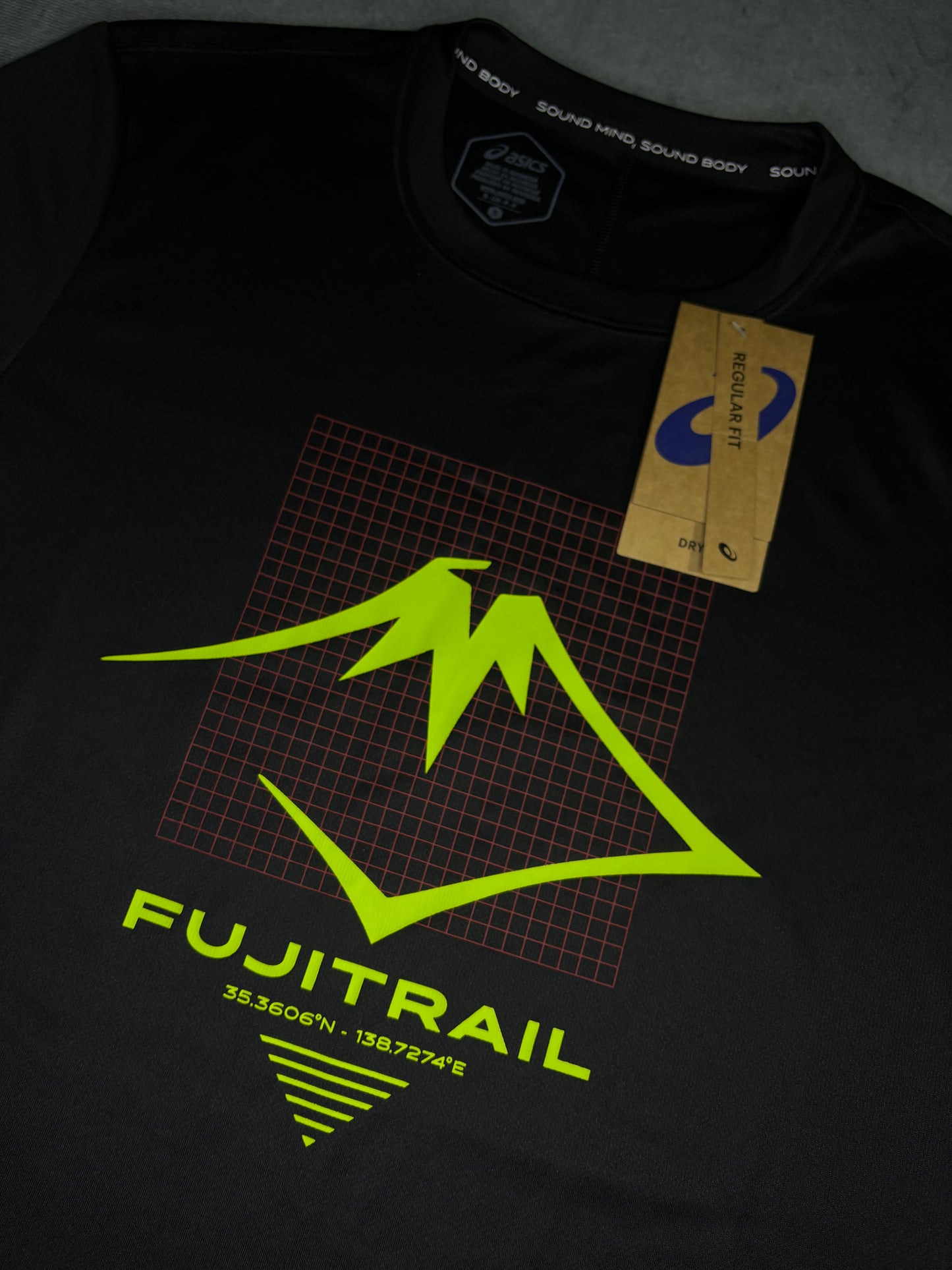 Asics FujiTrail Logo Top (S)